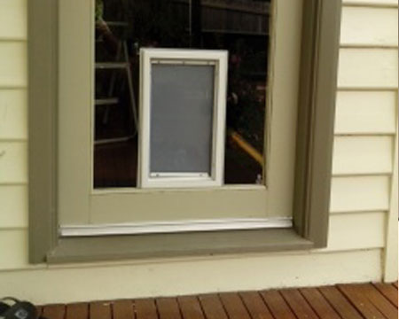 Dog door in glass door .