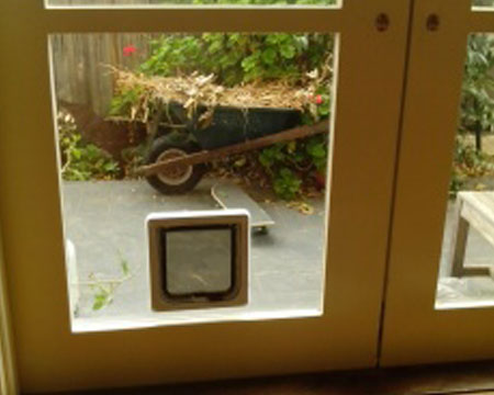 Cat door .