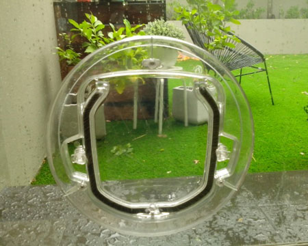 Plastic pet door in glass .