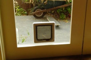 Smaller pet door to suit smaller dog installed into glass timber framed door