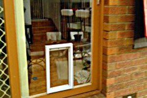 dog door installed into a timber framed glass door.